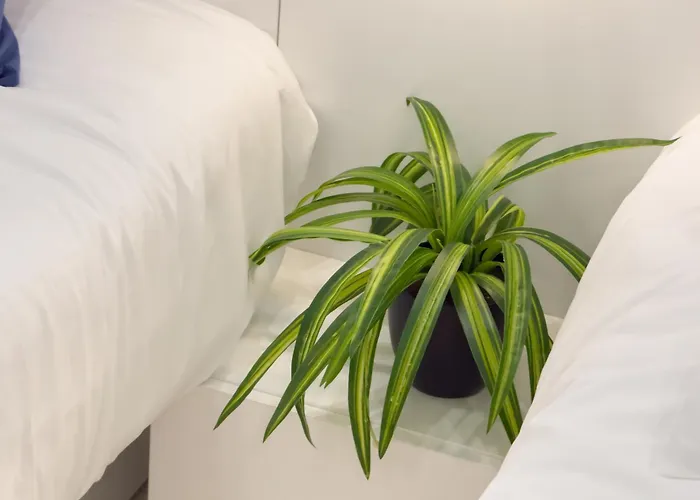 아파트 West Modern Stay-yeongdeungpo 2br, Airport Bus 3 Minutes, Sinpung Station 9 Minutes, White Modern Sensibility, Hongdae 26 Minutes, Cheongdam 29 Minutes 서울특별시